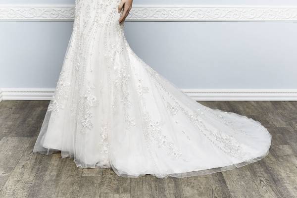 Elegant Lace Bridal