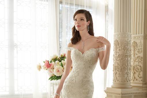 Elegant Lace Bridal