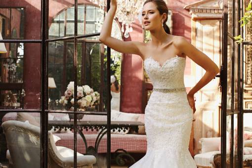 Elegant Lace Bridal