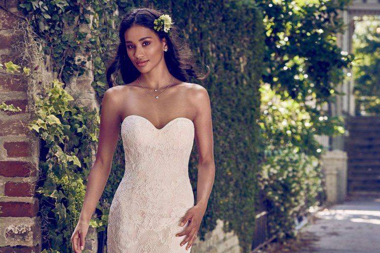 Elegant Lace Bridal