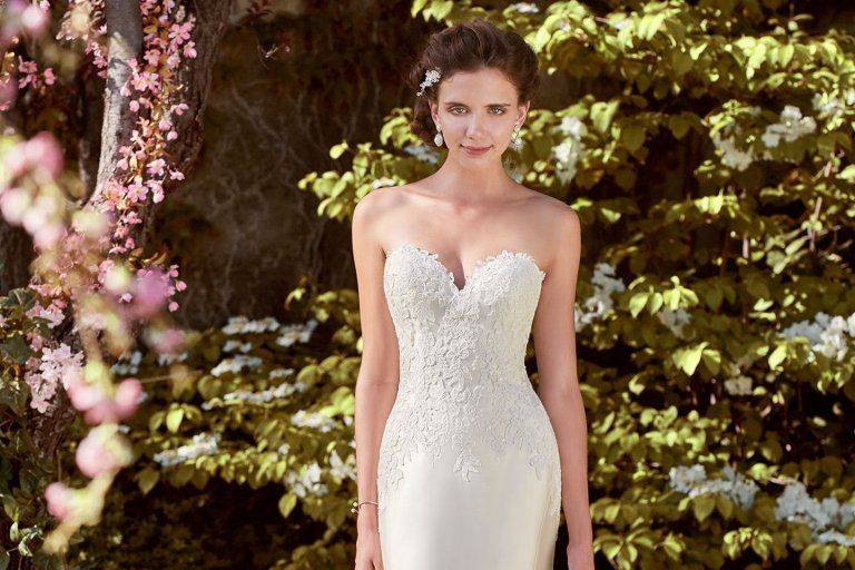 Elegant Lace Bridal