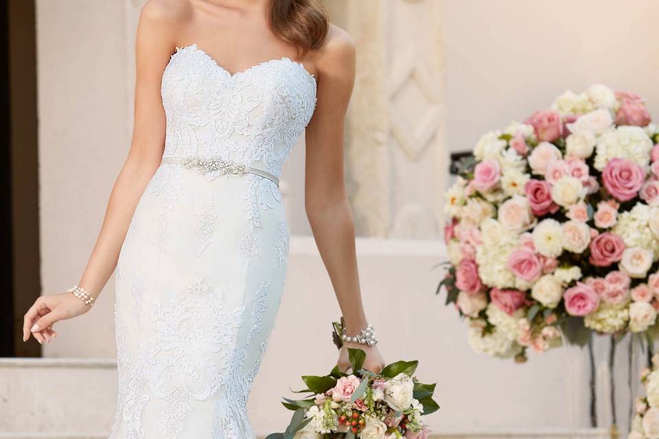 Elegant Lace Bridal