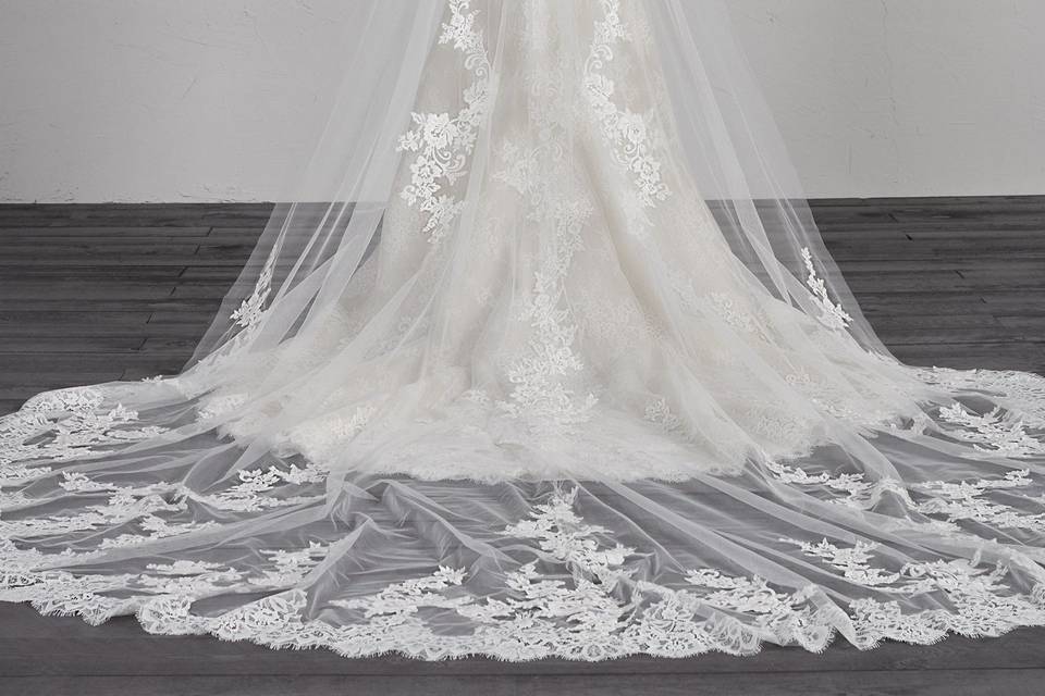 Elegant Lace Bridal