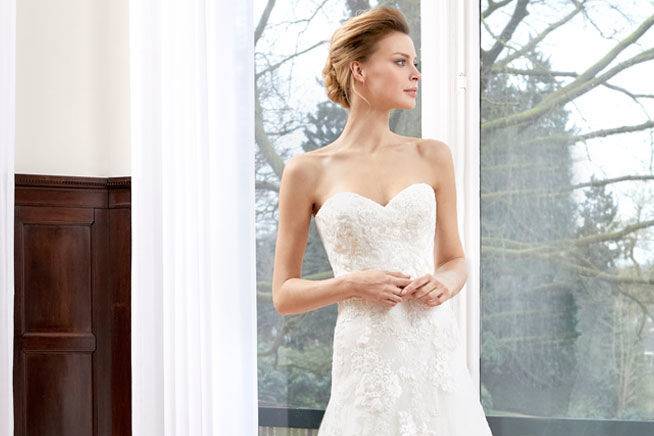 Elegant Lace Bridal