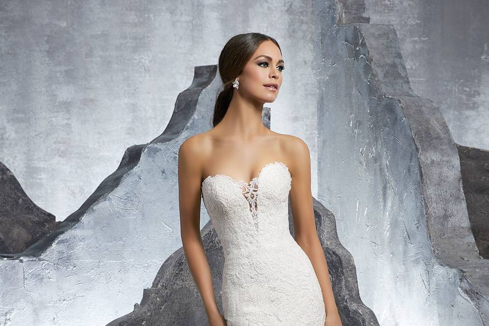 Elegant Lace Bridal