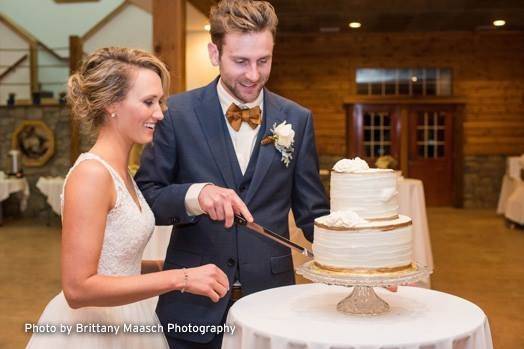 Cake cutting