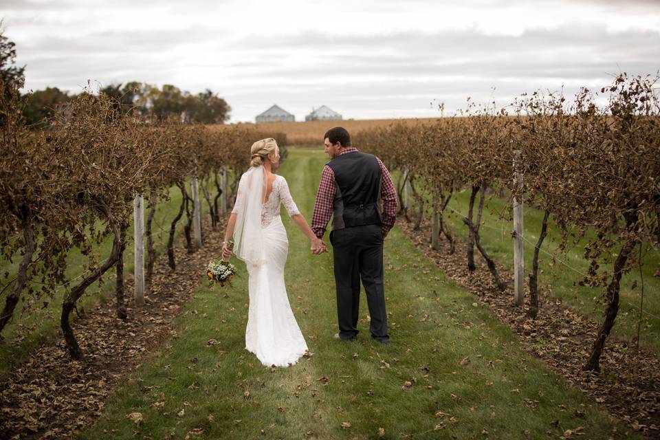 The vineyard in October