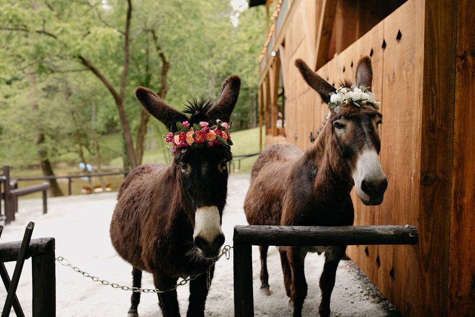 Flower girls?