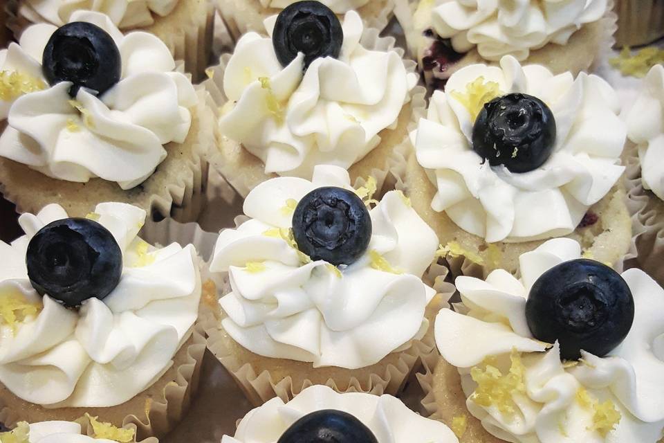 Blueberry cupcakes