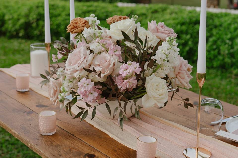 Dianthus Brides Bouquet