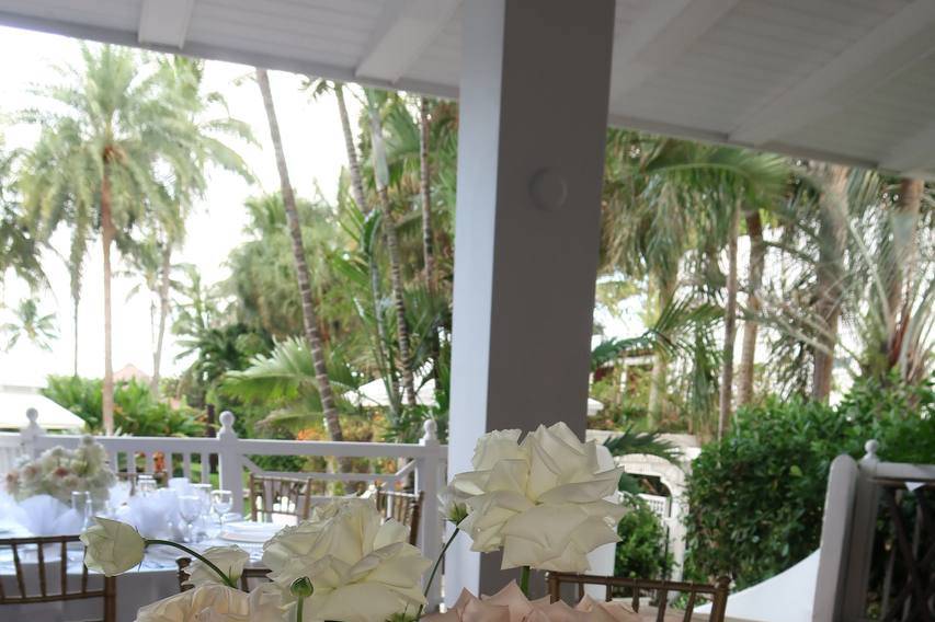 Timeless white & pink