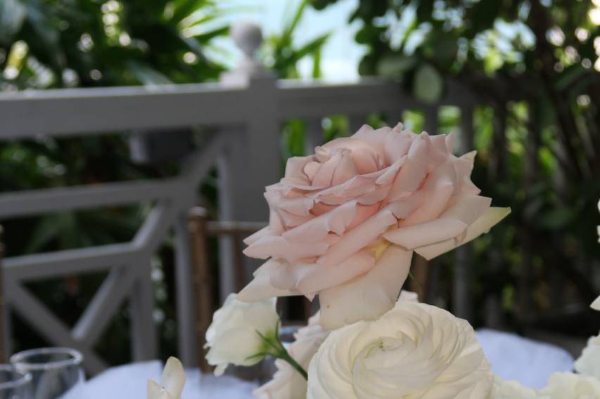 Romantic blush & white décor
