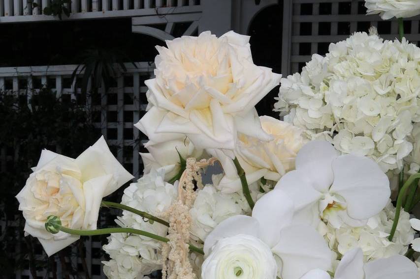 Timeless white & pink