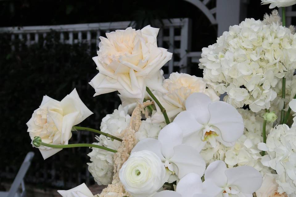 Floral close-up
