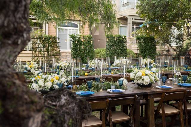 Wedding Reception