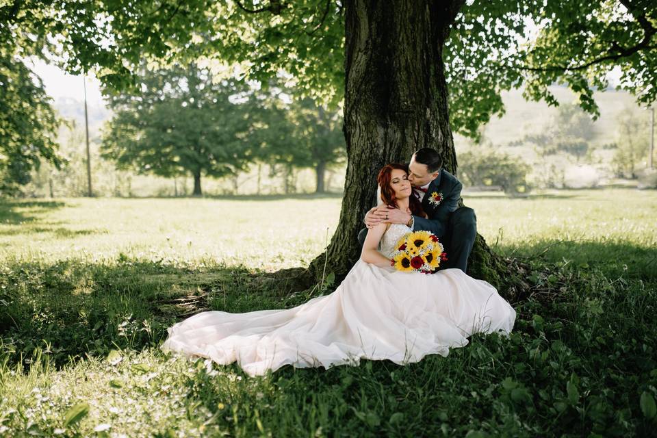 Love beneath the trees - Samantha Tarr Photography