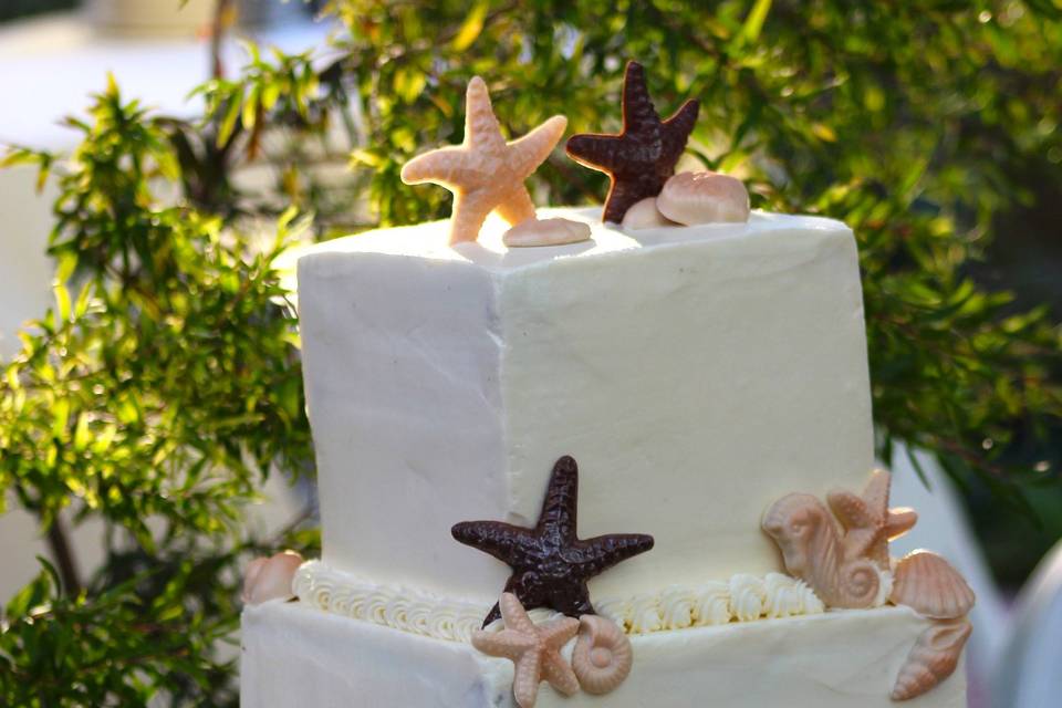 Sea shell cake