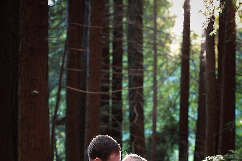 Tree Farm, Moonstone Images