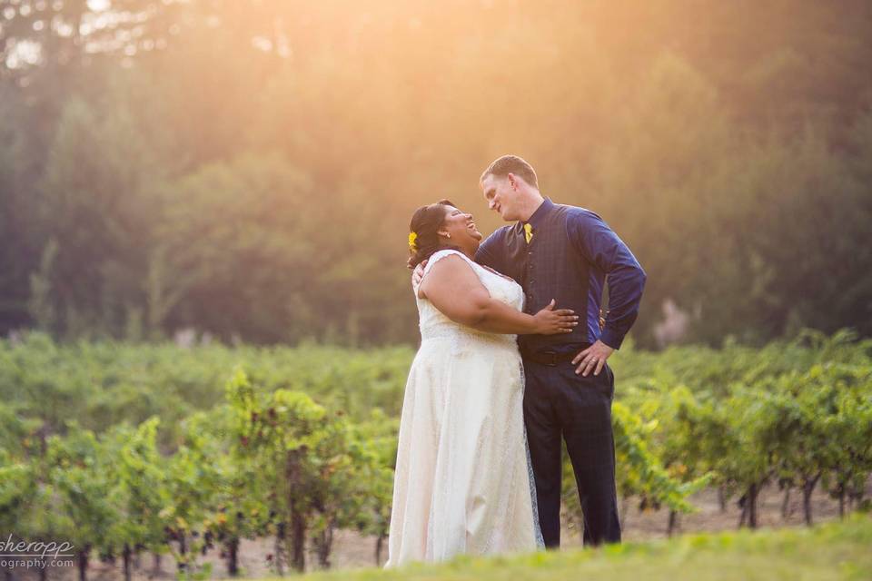 Rosina Vineyard, Evan Wish