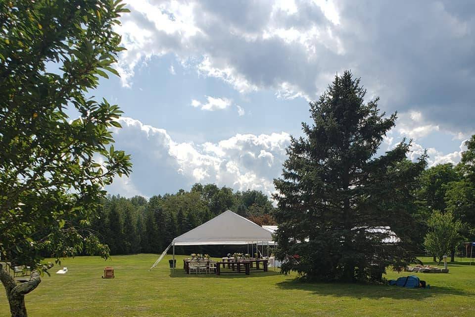Lawn wedding with marquee