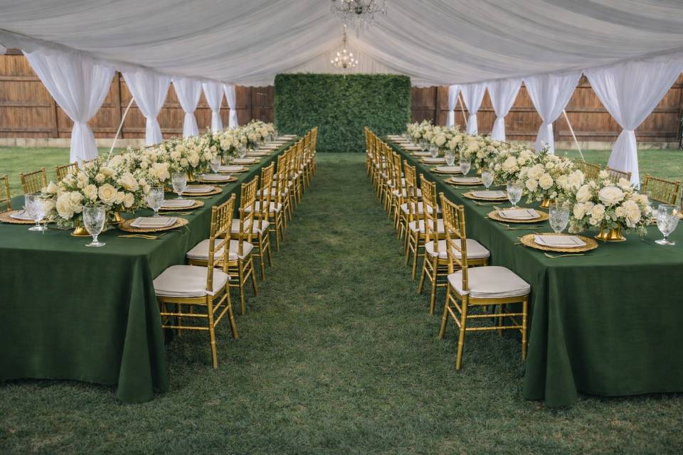 Table Setting, Chairs,  Linens