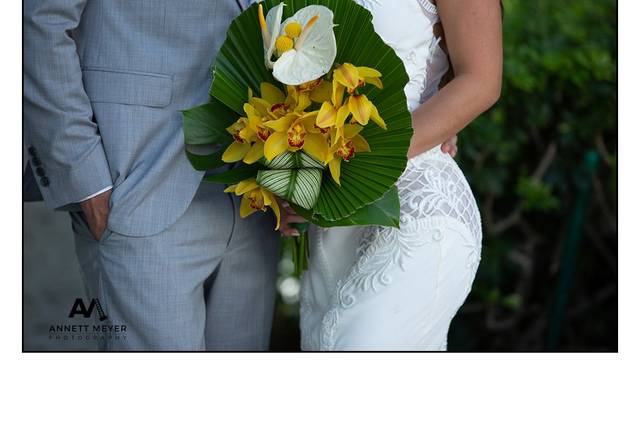 Www.annettmeyer.photography