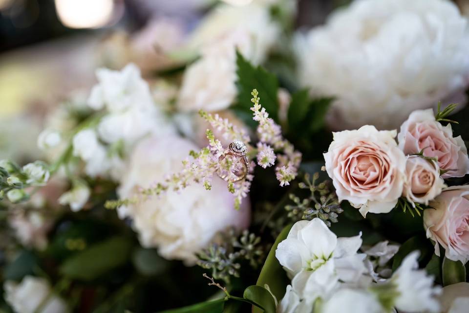 Lindsey Poyar Photography