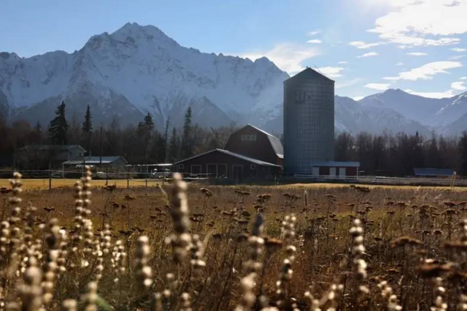 Matanuska Views Ranch