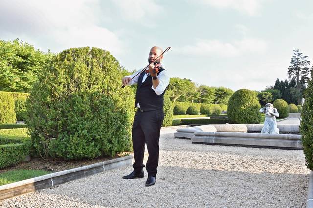 James Teal Violin