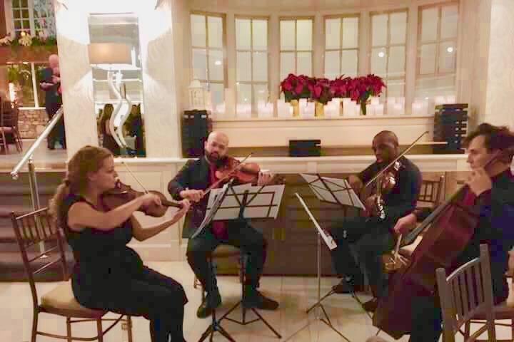 Elegant string quartet