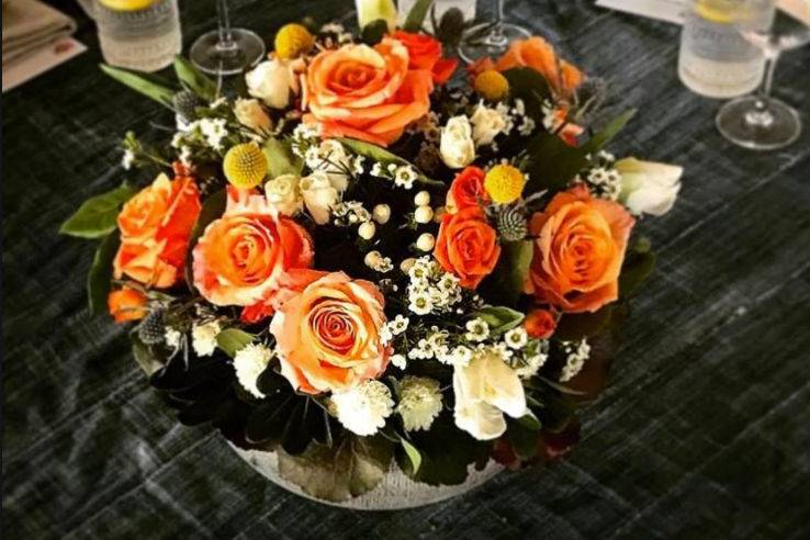 Orange roses