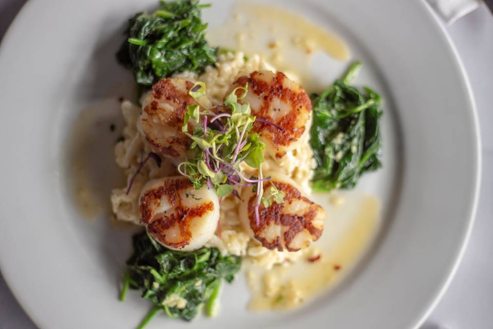 Grilled sea scallops