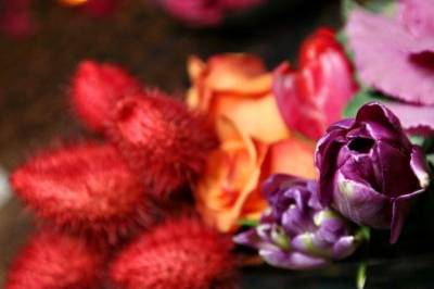 7 Awesome Benefits of Dried Flowers