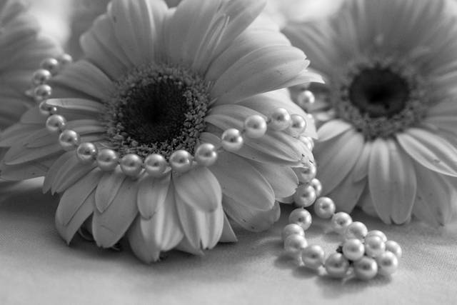 Chelle Photography