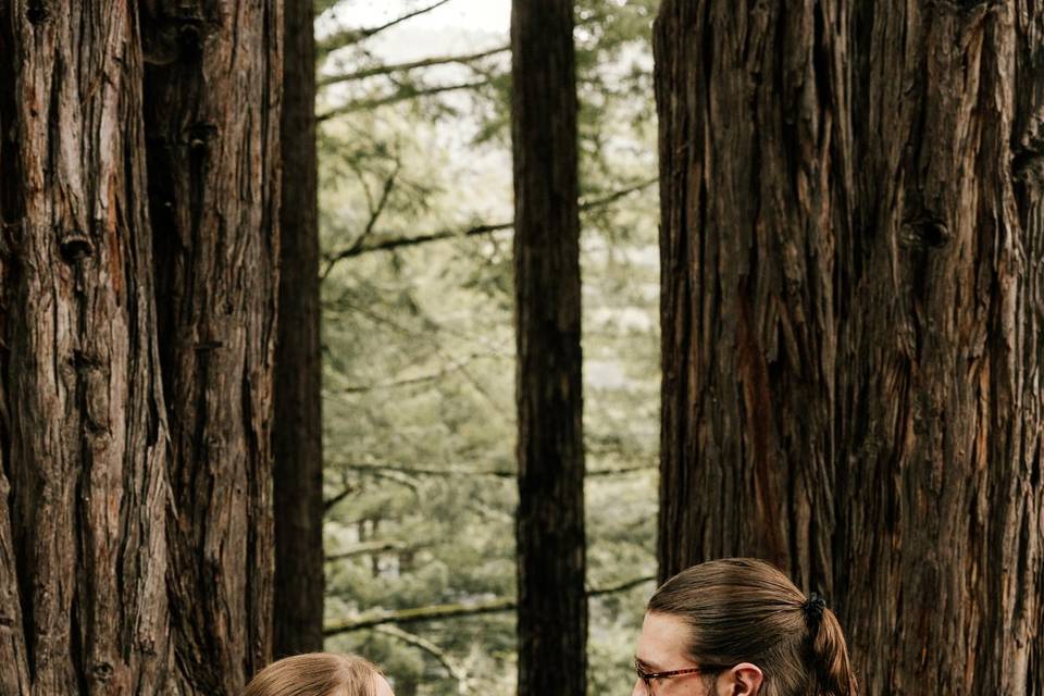 Redwood Wedding