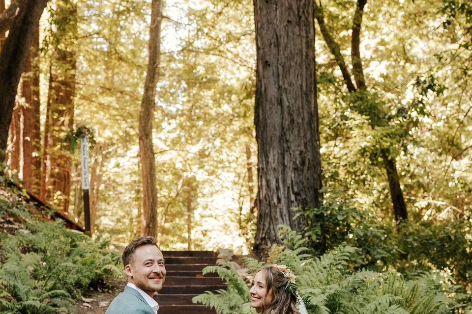 Redwood Wedding