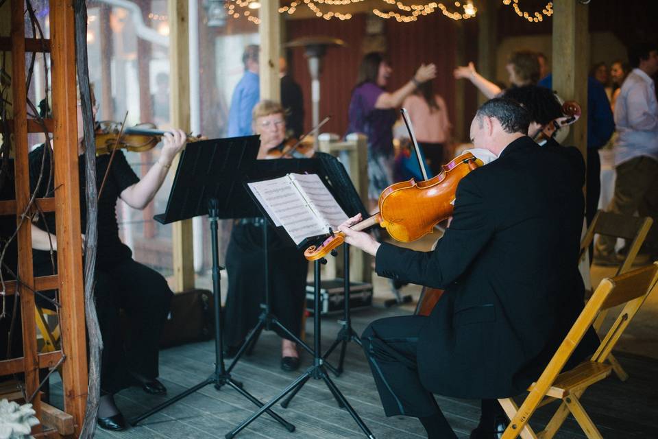 Musicians playing dinner music