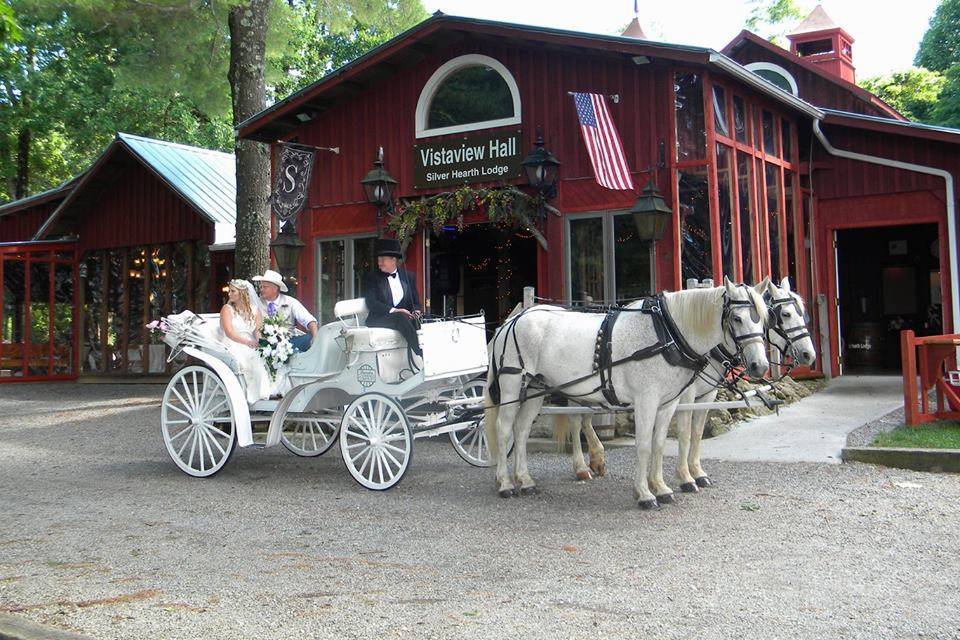 Horse and carriage