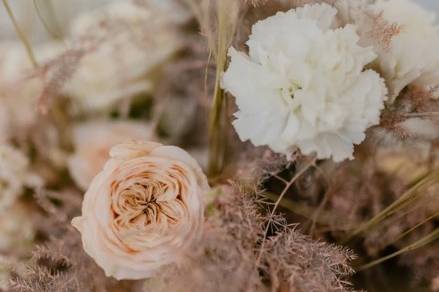Neutral blooms
