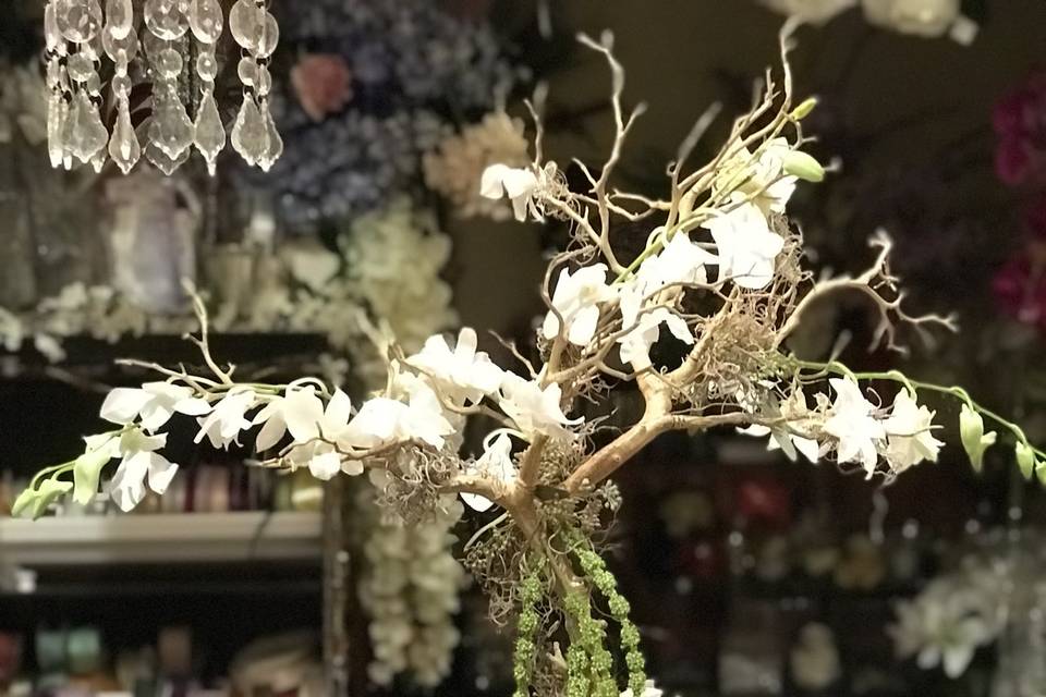 Manzanita-Orchids-Ameranthus
