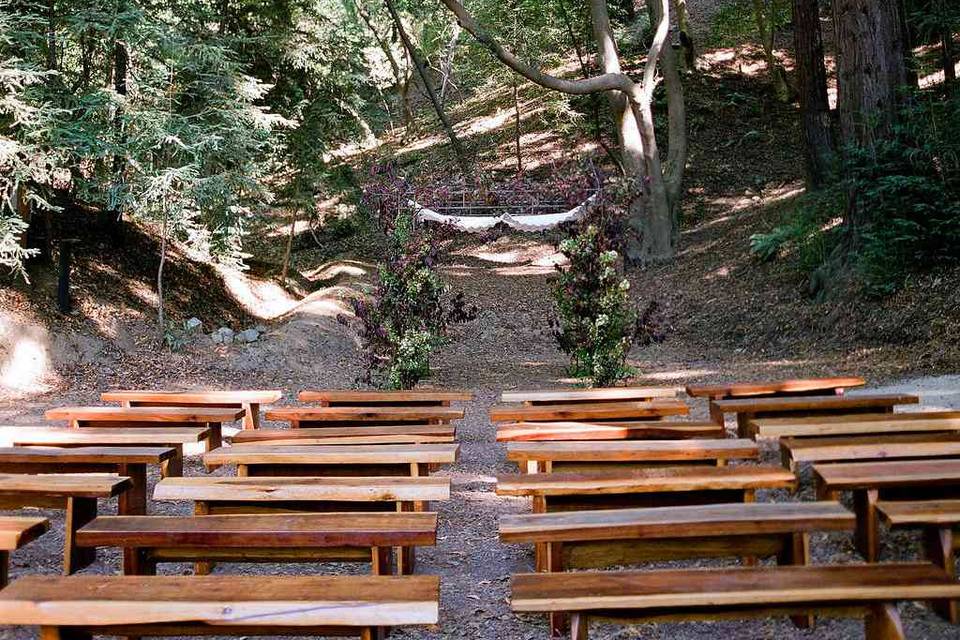 Redwood Cathedral Ceremony