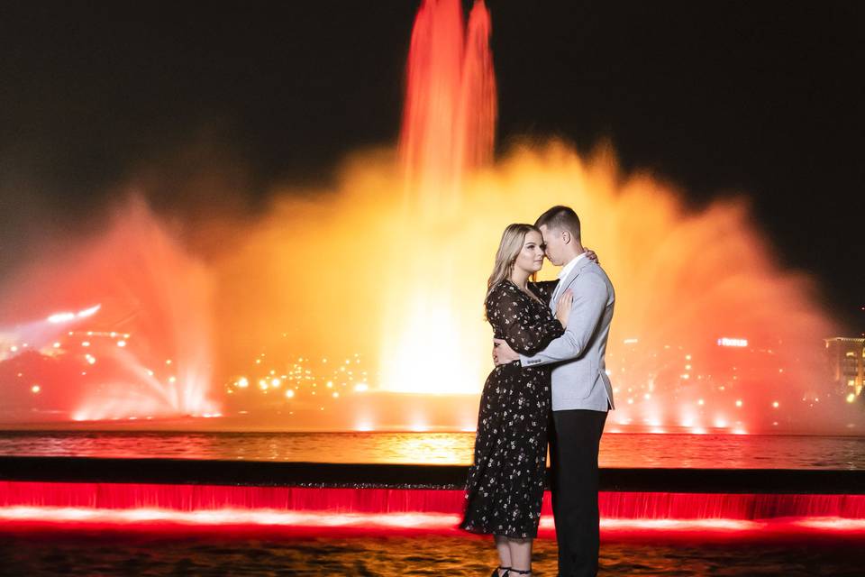 Stunning Engagement Portraits.