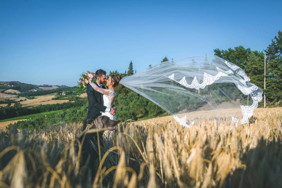 Kissing in the fields