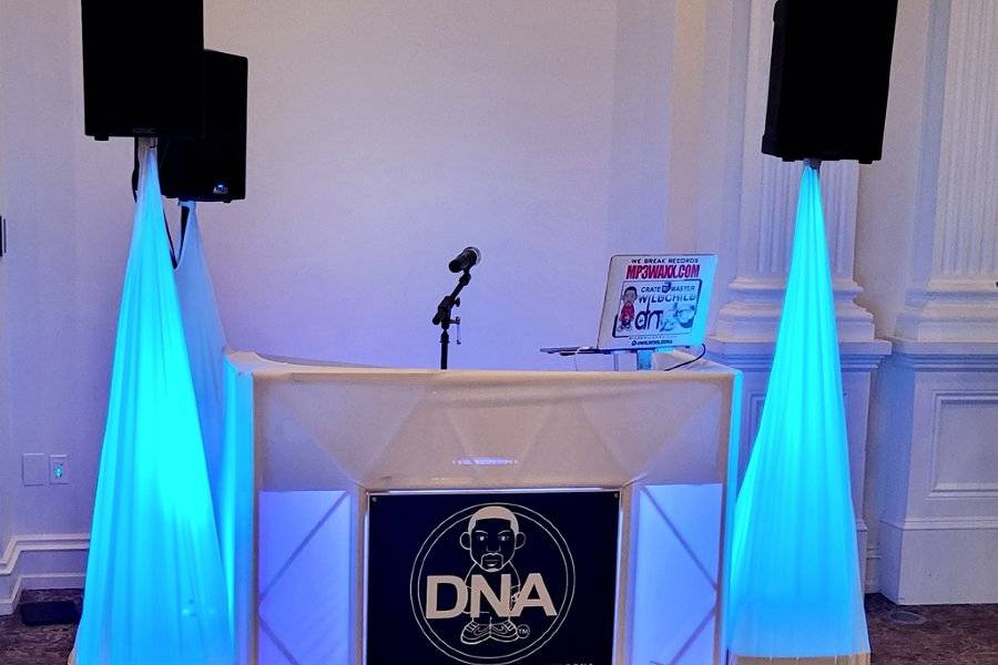 DJ WildChild DNA