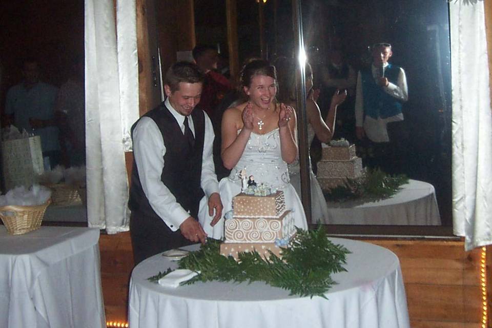 Cake cutting