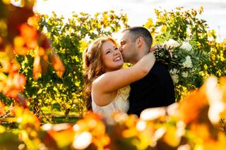 Newport Vineyards