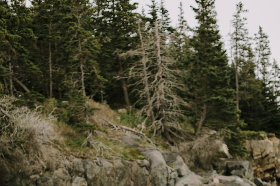 Gorgeous Acadia elopement