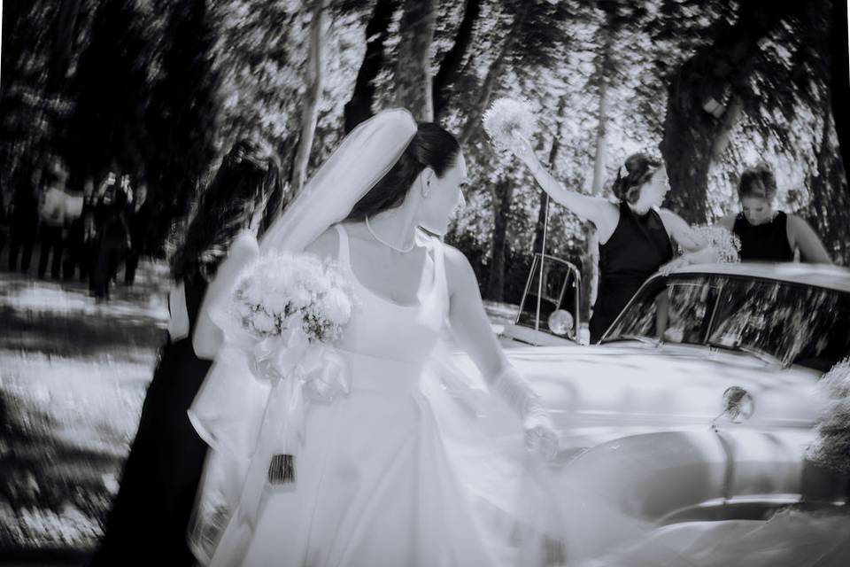 New Jersey Wedding