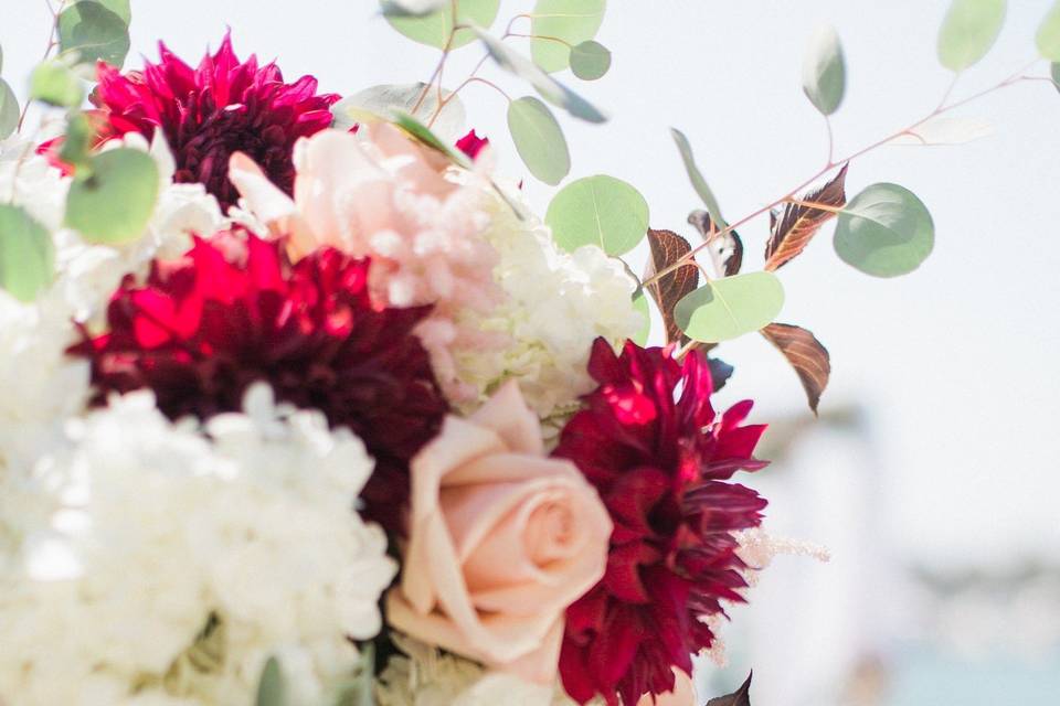 Red and white roses