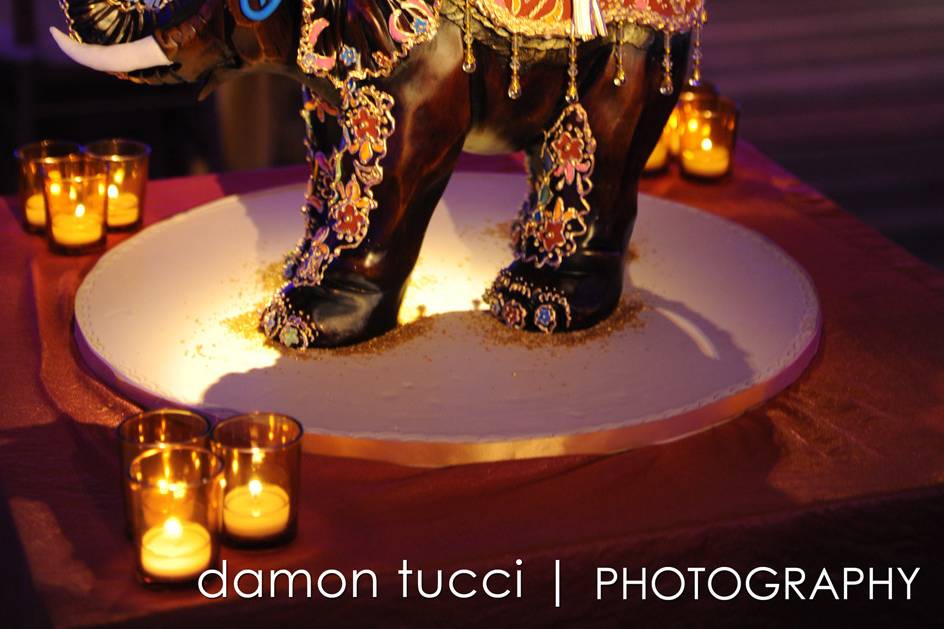 Damon Tucci Photography